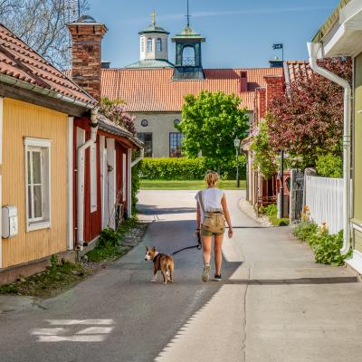 Gata med gamla färglada hus och en kvinna promenerandes med en hund