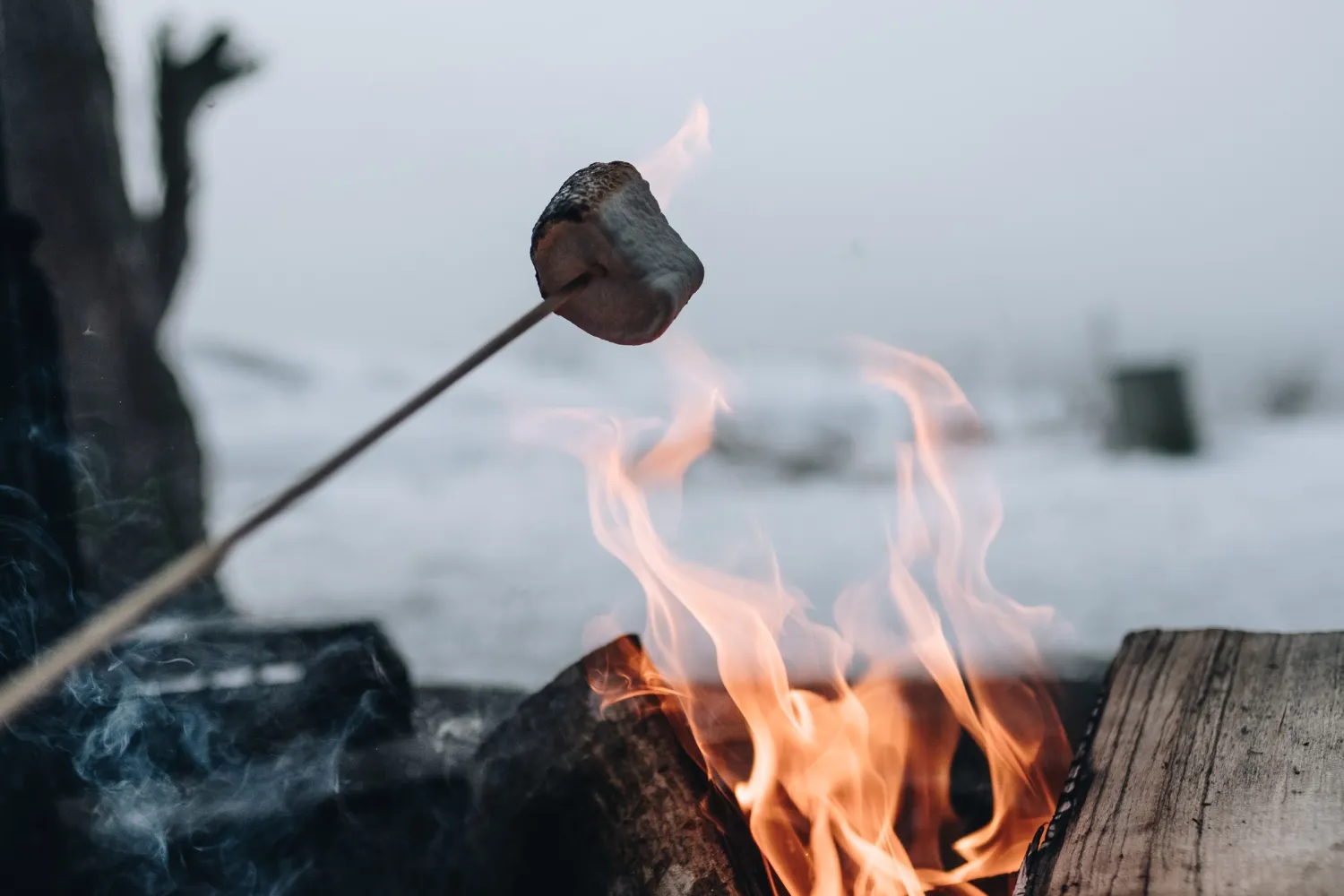 Grillar marhsmallows