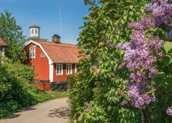 Syrener i Östhammar