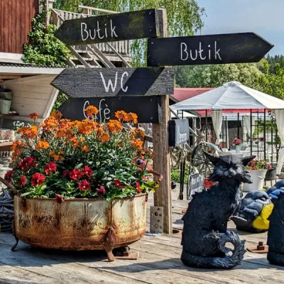 Ett bord med blommor och prylar utomhus på en loppis