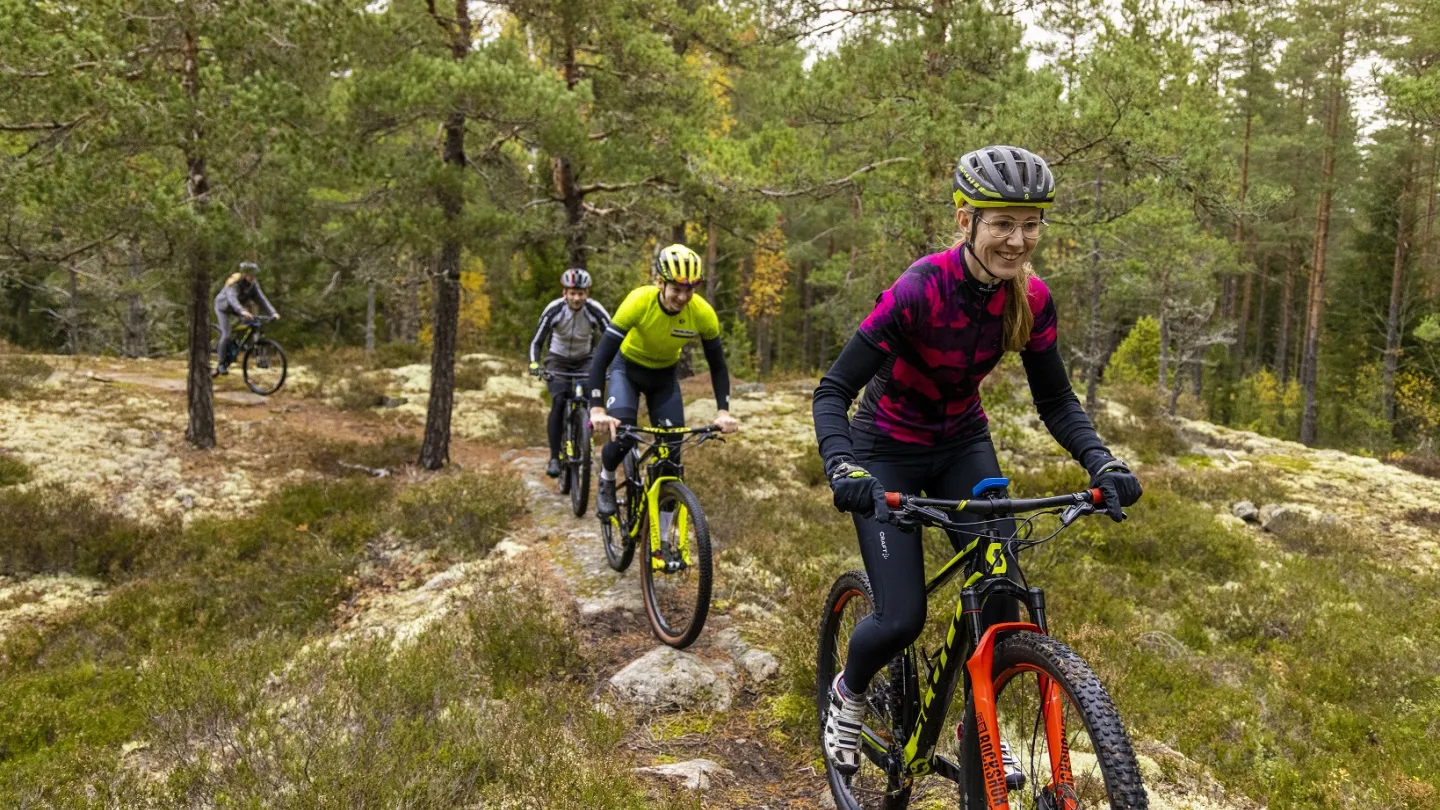 Cyklister i skogen